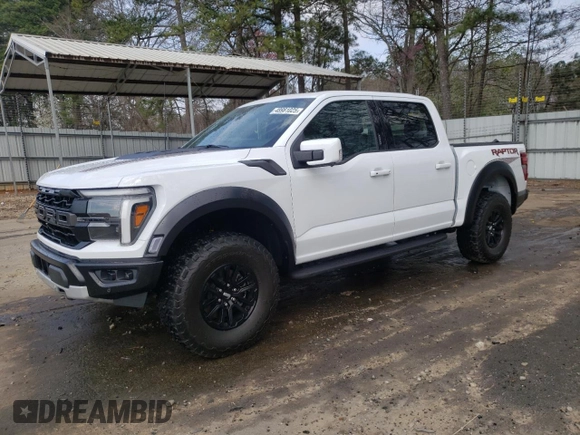 2024 Ford F-150 Raptor with VIN 1FTFW1RG5RFA24884, listed as a Copart auction lot 48981025 with 116 mi miles and Salvage Title. Bid and sale history available at DreamBid. Image 1.