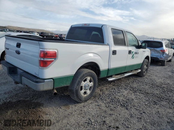 2009 Ford F-150 XL with VIN 1FTPW14V99FA25577, listed as a Copart auction lot 47128865 with 159,850 mi miles and Salvage title. Bid and sale history available at DreamBid. Image 3.
