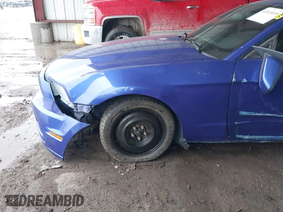2013 Ford Mustang V6 with VIN 1ZVBP8AM2D5262273, listed as a IAAI auction lot 42411691 with 163,552 mi miles and . Bid and sale history available at DreamBid. Image 6.