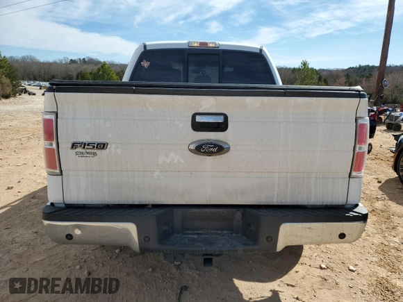 2014 Ford F-150 XL with VIN 1FTFW1CTXEFC60186, listed as a Copart auction lot 46981665 with 166,904 mi miles and Salvage Title. Bid and sale history available at carsss.com. Image 6.