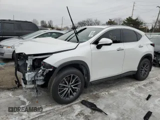 2024 Lexus NX 250 с VIN 2T2ADCAZ6RC010487, выставлен на аукционе Copart как лот 42030835 с пробегом 42 164 миль миль и Списание • Salvage title. История ставок и продаж доступна на DreamBid. Изображение 1.