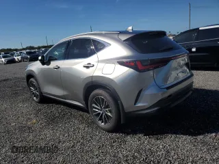 2022 Lexus NX 250 Premium with VIN JTJGDCAZ9N5002290, listed as a Copart auction lot 74058684 with Not provided miles and Salvage title. Bid and sale history available at DreamBid. Image 2.