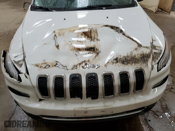 2017 Jeep Cherokee Limited with VIN 1C4PJMDS0HD214781, listed as a Copart auction lot 54001185 with 75,593 mi miles and Clean title. Bid and sale history available at DreamBid. Image 12.