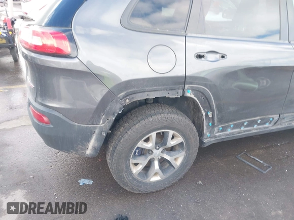 2015 Jeep Cherokee Trailhawk with VIN 1C4PJMBS9FW785545, listed as a IAAI auction lot 41573197 with 124,304 mi miles. Bid and sale history available at carsss.com. Image 14.