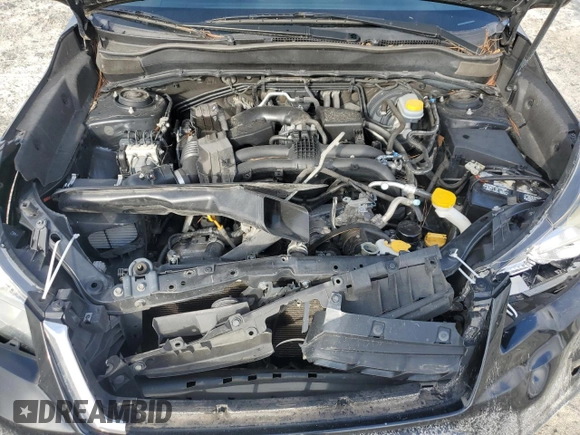 2017 Subaru Forester with VIN JF2SJABC2HH536420, listed as a Copart auction lot 65112335 with 195,951 mi miles and Salvage title. Bid and sale history available at DreamBid. Image 12.
