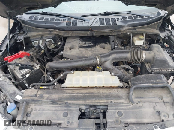 2021 Ford F-150 XL с VIN 1FTEW1C84MKE87869, выставлен на аукционе IAAI как лот 42476460 с пробегом 83 433 миль миль и . История ставок и продаж доступна на DreamBid. Изображение 10.