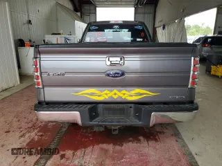 2013 Ford F-150 XL with VIN 1FTNF1EF9DKD63737, listed as a Copart auction lot 57023185 with 47,489 mi miles and Salvage title. Bid and sale history available at DreamBid. Image 6.