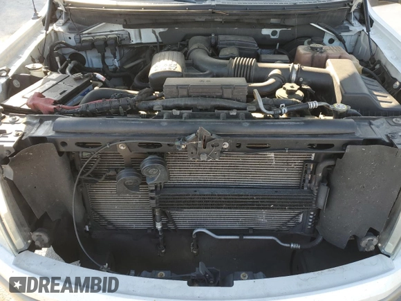 2010 Ford F-150 XL with VIN 1FTFW1CV0AKA38257, listed as a Copart auction lot 51028685 with 189,939 mi miles and Salvage Title. Bid and sale history available at carsss.com. Image 12.