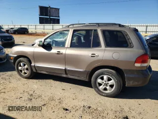 2005 Hyundai Santa Fe GLS with VIN KM8SC73E95U889313, listed as a Copart auction lot 42508925 with 187,643 mi miles and Salvage Title. Bid and sale history available at carsss.com. Image 2.