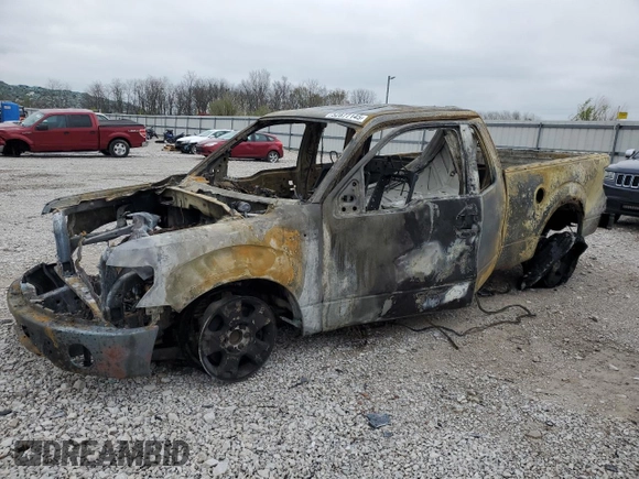 2010 Ford F-150 XL with VIN 1FTEX1CW3AFA84210, listed as a Copart auction lot 52877145 with 0 mi miles and Non Repairable. Bid and sale history available at carsss.com. Image 1.