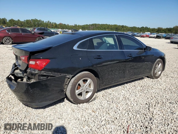 2019 Chevrolet Malibu LS with VIN 1G1ZB5ST6KF185346, listed as a Copart auction lot 77244674 with 65,133 mi miles and Salvage Title. Bid and sale history available at DreamBid. Image 3.