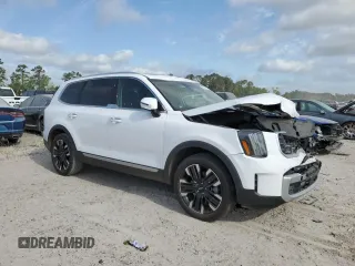 2024 Kia Telluride SX with VIN 5XYP54GC7RG427657, listed as a Copart auction lot 53308975 with Not provided miles and Salvage title. Bid and sale history available at DreamBid. Image 4.