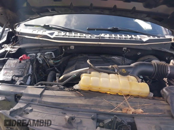 2018 Ford F-150 XL with VIN 1FTEW1CP0JFE36641, listed as a IAAI auction lot 41445055 with 137,569 mi miles and . Bid and sale history available at DreamBid. Image 10.
