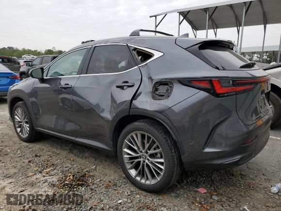 2022 Lexus NX with VIN 2T2GKCEZ8NC009023, listed as a Copart auction lot 74852064 with 20,454 mi miles and Salvage Title. Bid and sale history available at carsss.com. Image 2.