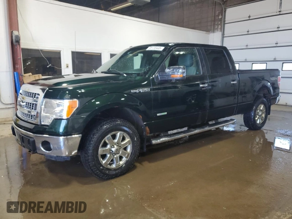 2013 Ford F-150 XL with VIN 1FTFW1ETXDKG50756, listed as a Copart auction lot 55120445 with 206,379 mi miles and Clean Title. Bid and sale history available at carsss.com. Image 1.