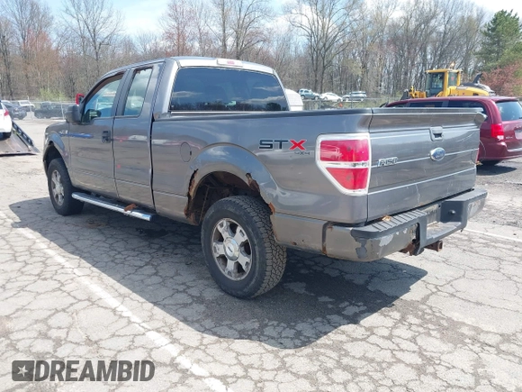 2010 Ford F-150 XL with VIN 1FTEX1EW7AFD37574, listed as a IAAI auction lot 42088625 with 134,668 mi miles and . Bid and sale history available at DreamBid. Image 3.
