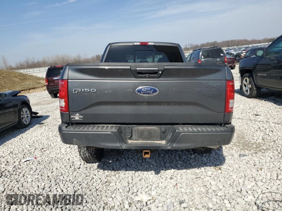 2016 Ford F-150 XLT with VIN 1FTFX1EG9GFC18656, listed as a Copart auction lot 49140695 with 143,335 mi miles and Clean Title. Bid and sale history available at carsss.com. Image 6.