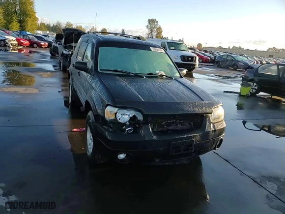 2007 Ford Escape Limited with VIN 1FMCU04117KA07392, listed as a Copart auction lot 76208504 with 194,332 mi miles and Salvage Title. Bid and sale history available at carsss.com. Image 10.