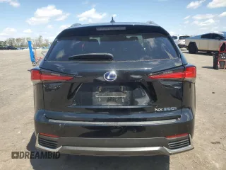 2019 Lexus NX 300h with VIN JTJBJRBZ7K2097983, listed as a Copart auction lot 50781455 with 70,253 mi miles and Salvage title. Bid and sale history available at DreamBid. Image 6.