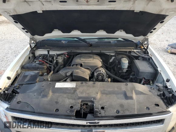 2010 Chevrolet Silverado 1500 LS with VIN 1GCSCREA9AZ272646, listed as a Copart auction lot 48374965 with 290,276 mi miles and Salvage Title. Bid and sale history available at carsss.com. Image 11.