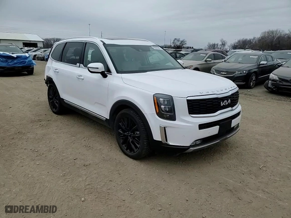 2022 Kia Telluride SX with VIN 5XYP5DHC0NG263225, listed as a Copart auction lot 43820385 with 40,044 mi miles and Salvage Title. Bid and sale history available at carsss.com. Image 11.
