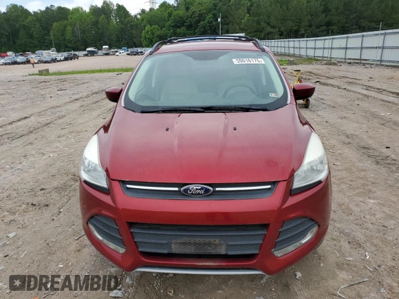 2014 Ford Escape SE с VIN 1FMCU0GX0EUE07865, выставлен на аукционе Copart как лот 59016175 с пробегом 169 537 миль миль и Чистый • Clean title. История ставок и продаж доступна на DreamBid. Изображение 5.