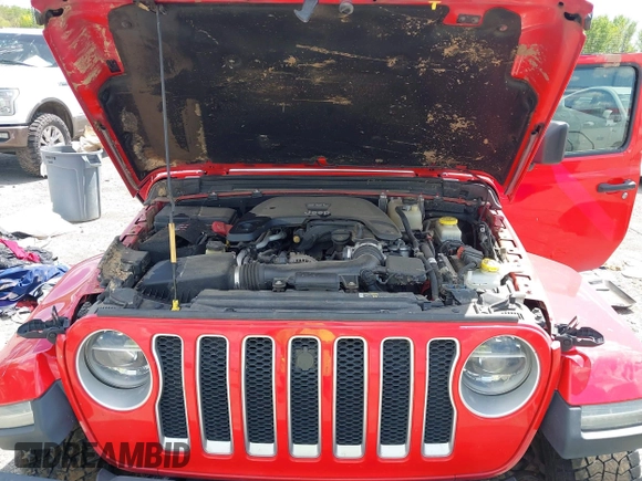2018 Jeep Wrangler Unlimited Sahara with VIN 1C4HJXEG6JW174359, listed as a IAAI auction lot 42009968 with 79,830 mi miles and . Bid and sale history available at DreamBid. Image 10.