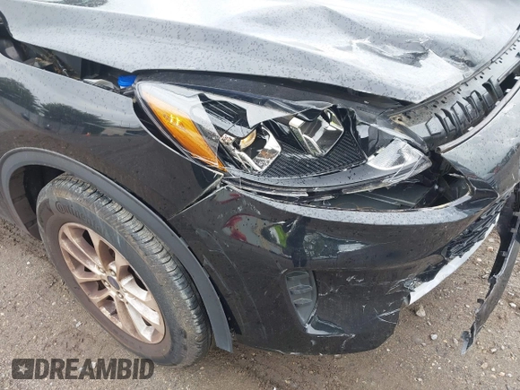 2021 Ford Escape SE with VIN 1FMCU9G67MUA23303, listed as a IAAI auction lot 42232319 with 12,694 mi miles and . Bid and sale history available at DreamBid. Image 17.