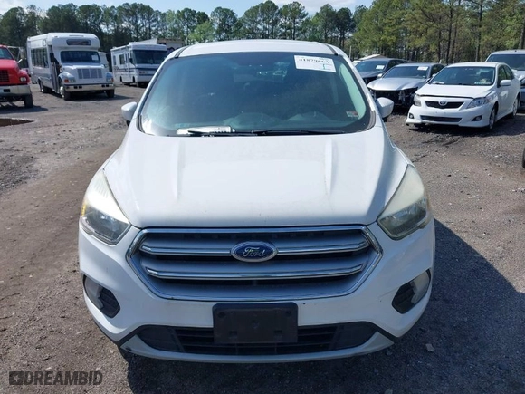 2017 Ford Escape SE with VIN 1FMCU0GD1HUE87252, listed as a IAAI auction lot 41879663 with 122,994 mi miles. Bid and sale history available at carsss.com. Image 6.