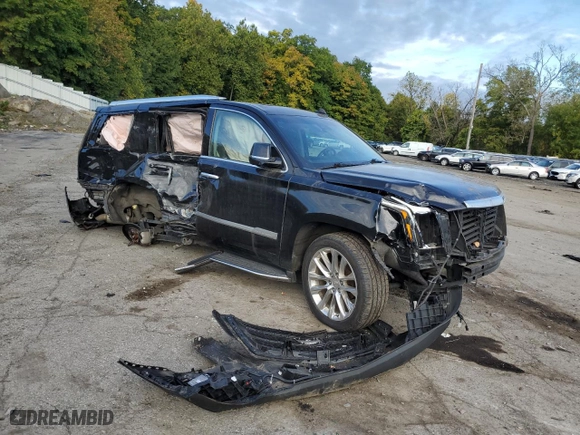 2019 Cadillac Escalade Luxury with VIN 1GYS4BKJ5KR391959, listed as a Copart auction lot 73730244 with 0 mi miles and Salvage Title. Bid and sale history available at carsss.com. Image 4.