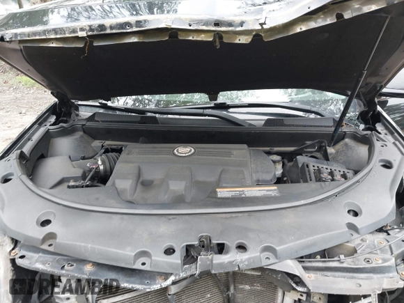 2011 Cadillac SRX Premium Collection with VIN 3GYFNCEY3BS673043, listed as a IAAI auction lot 42499237 with 174,132 mi miles and . Bid and sale history available at DreamBid. Image 10.