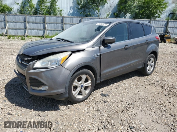 2014 Ford Escape SE with VIN 1FMCU9GX8EUB84916, listed as a Copart auction lot 61343435 with 204,501 mi miles and Non repairable. Bid and sale history available at DreamBid. Image 1.