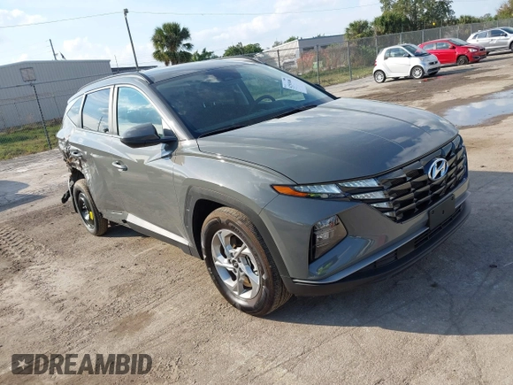2024 Hyundai Tucson SEL with VIN 5NMJB3DEXRH387255, listed as a IAAI auction lot 41519486 with 17,320 mi miles and . Bid and sale history available at DreamBid. Image 1.