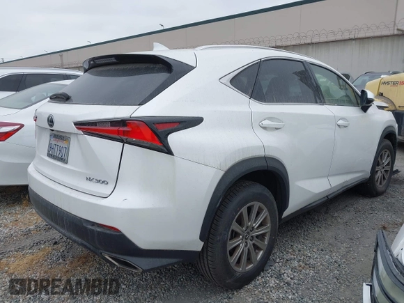 2019 Lexus NX 300 с VIN JTJYARBZXK2144756, выставлен на аукционе IAAI как лот 41568897 с пробегом 26 758 миль миль и . История ставок и продаж доступна на DreamBid. Изображение 4.