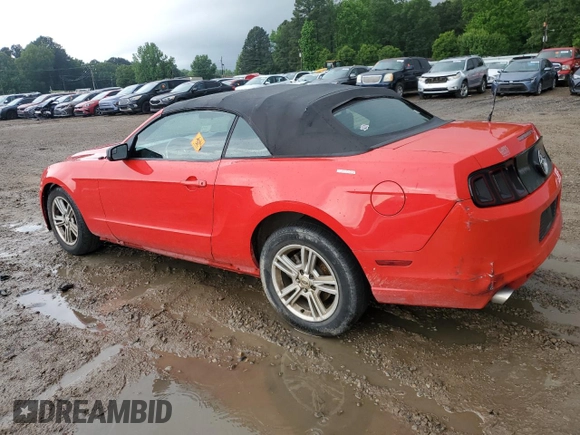 2013 Ford Mustang V6 with VIN 1ZVBP8EM3D5203940, listed as a Copart auction lot 55064825 with 129,334 mi miles and Salvage title. Bid and sale history available at DreamBid. Image 2.