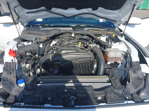 2024 Ford Mustang EcoBoost with VIN 1FAGP8UH3R5126397, listed as a IAAI auction lot 41917899 with 15,743 mi miles and . Bid and sale history available at DreamBid. Image 10.