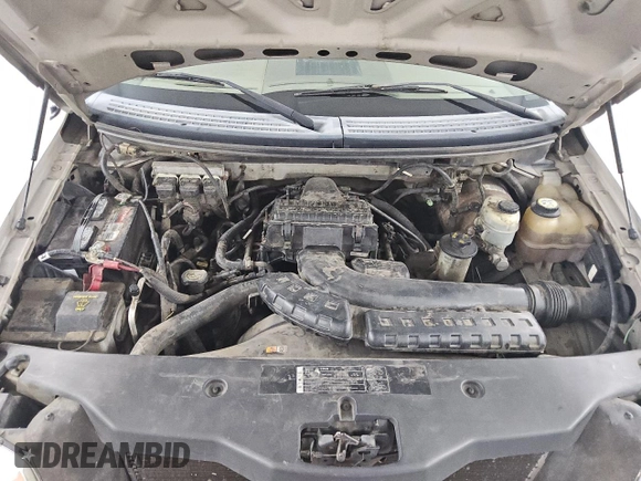2006 Ford F-150 XLT with VIN 1FTPW14556FA19187, listed as a Copart auction lot 55087355 with 175,272 mi miles and Clean title. Bid and sale history available at DreamBid. Image 11.