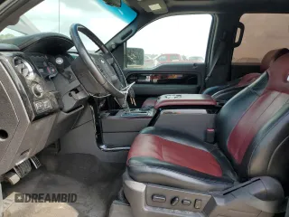 2010 Ford F-150 with VIN 1FTEW1CV2AFA87688, listed as a Copart auction lot 55324715 with 262,569 mi miles and Clean title. Bid and sale history available at DreamBid. Image 7.