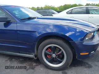 2010 Ford Mustang V6 with VIN 1ZVBP8AN6A5158017, listed as a IAAI auction lot 42005121 with 229,045 mi miles and . Bid and sale history available at DreamBid. Image 13.