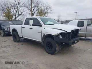 2010 Dodge 1500 SLT with VIN 1D7RV1GT7AS137785, listed as a IAAI auction lot 41519997 with 204,854 mi miles and . Bid and sale history available at DreamBid. Image 1.