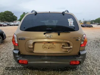 2004 Hyundai Santa Fe GLS with VIN KM8SC13E34U595014, listed as a Copart auction lot 55642745 with 69,303 mi miles and Salvage title. Bid and sale history available at DreamBid. Image 6.