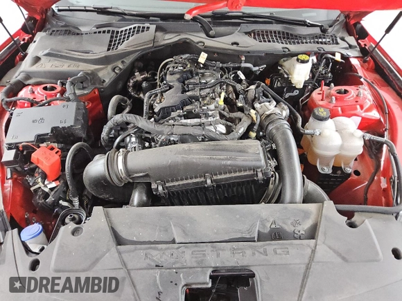 2024 Ford Mustang EcoBoost с VIN 1FA6P8TH9R5120729, выставлен на аукционе Copart как лот 60975075 с пробегом 24 427 миль миль и Списание • Salvage title. История ставок и продаж доступна на DreamBid. Изображение 11.
