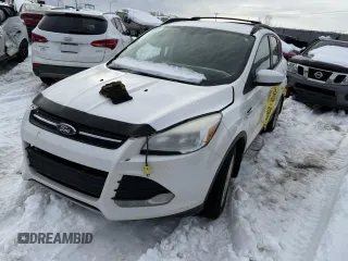 2013 Ford Escape SE with VIN 1FMCU9G97DUB99908, listed as a Copart auction lot 48123295 with Not Provided miles and Non Repairable. Bid and sale history available at DreamBid. Image 1.