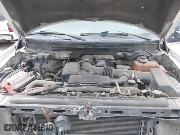 2010 Ford F-150 XL with VIN 1FTFW1EV4AKA38338, listed as a IAAI auction lot 42644684 with 209,725 mi miles and . Bid and sale history available at DreamBid. Image 10.