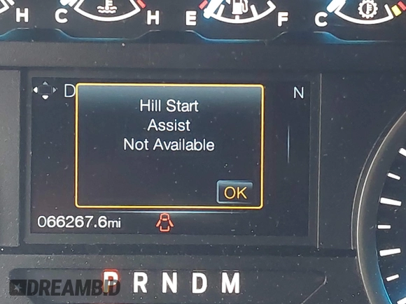 2019 Ford F-150 XL with VIN 1FTEW1E45KFC15573, listed as a IAAI auction lot 42647234 with 66,267 mi miles and . Bid and sale history available at DreamBid. Image 16.