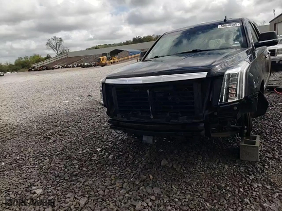 2016 Cadillac Escalade Premium Collection with VIN 1GYS3CKJ1GR271401, listed as a Copart auction lot 50048405 with 0 mi miles and Salvage Title. Bid and sale history available at carsss.com. Image 14.