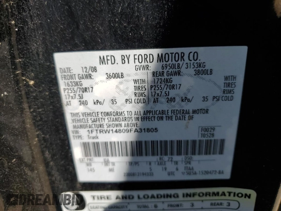 2009 Ford F-150 XL with VIN 1FTRW14809FA31805, listed as a Copart auction lot 59998575 with 199,115 mi miles and Clean title. Bid and sale history available at DreamBid. Image 12.