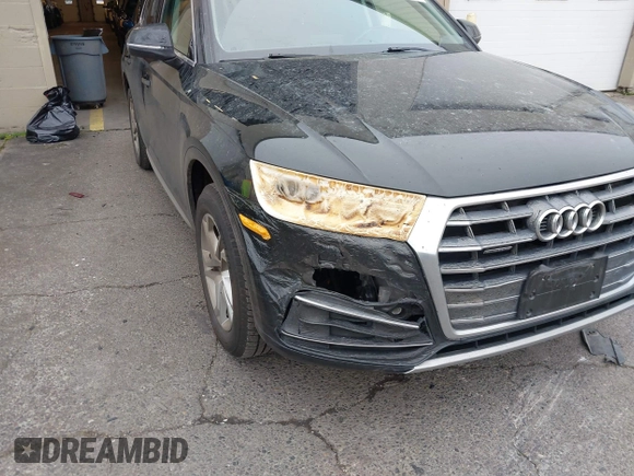 2019 Audi Q5 Premium with VIN WA1ANAFY5K2039094, listed as a IAAI auction lot 41333509 with 45,956 mi miles. Bid and sale history available at carsss.com. Image 13.