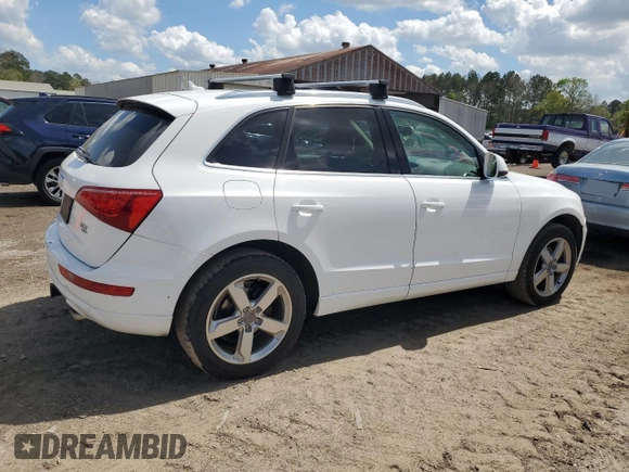 2011 Audi Q5 Premium Plus with VIN WA1LFAFP7BA018525, listed as a Copart auction lot 50548015 with 289,903 mi miles and Salvage Title. Bid and sale history available at DreamBid. Image 3.