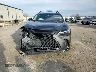 2022 Lexus NX with VIN JTJAGCEZ6N5003825, listed as a Copart auction lot 43038805 with 6,687 mi miles and Salvage Title. Bid and sale history available at carsss.com. Image 11.